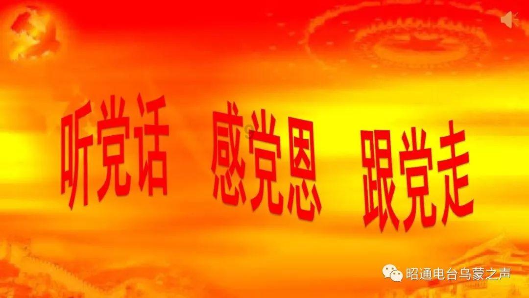 蓝狐视频